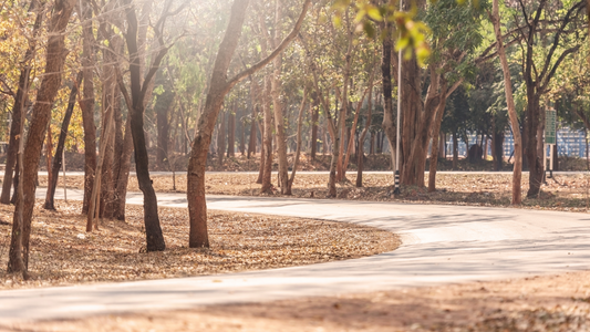 3 types of skin cancer you need to know about