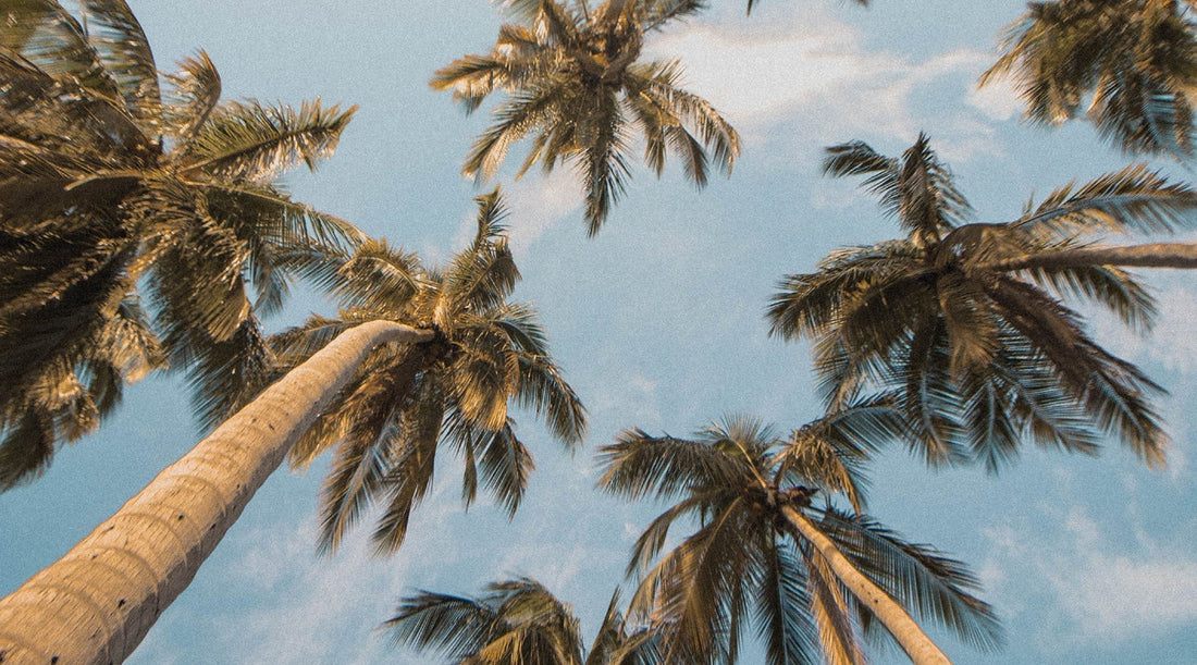 5 Sun Protection Tips to Ease Sun Anxiety