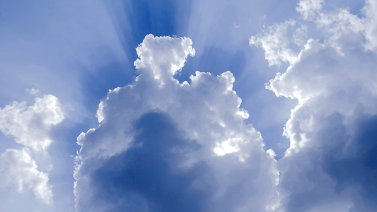 Solbari blog: Can you die from skin cancer?