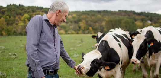 Which occupations have the highest risk of skin cancer?