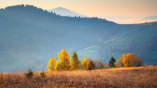 Solbari blog: What type of clothing should I wear if I have psoriasis?